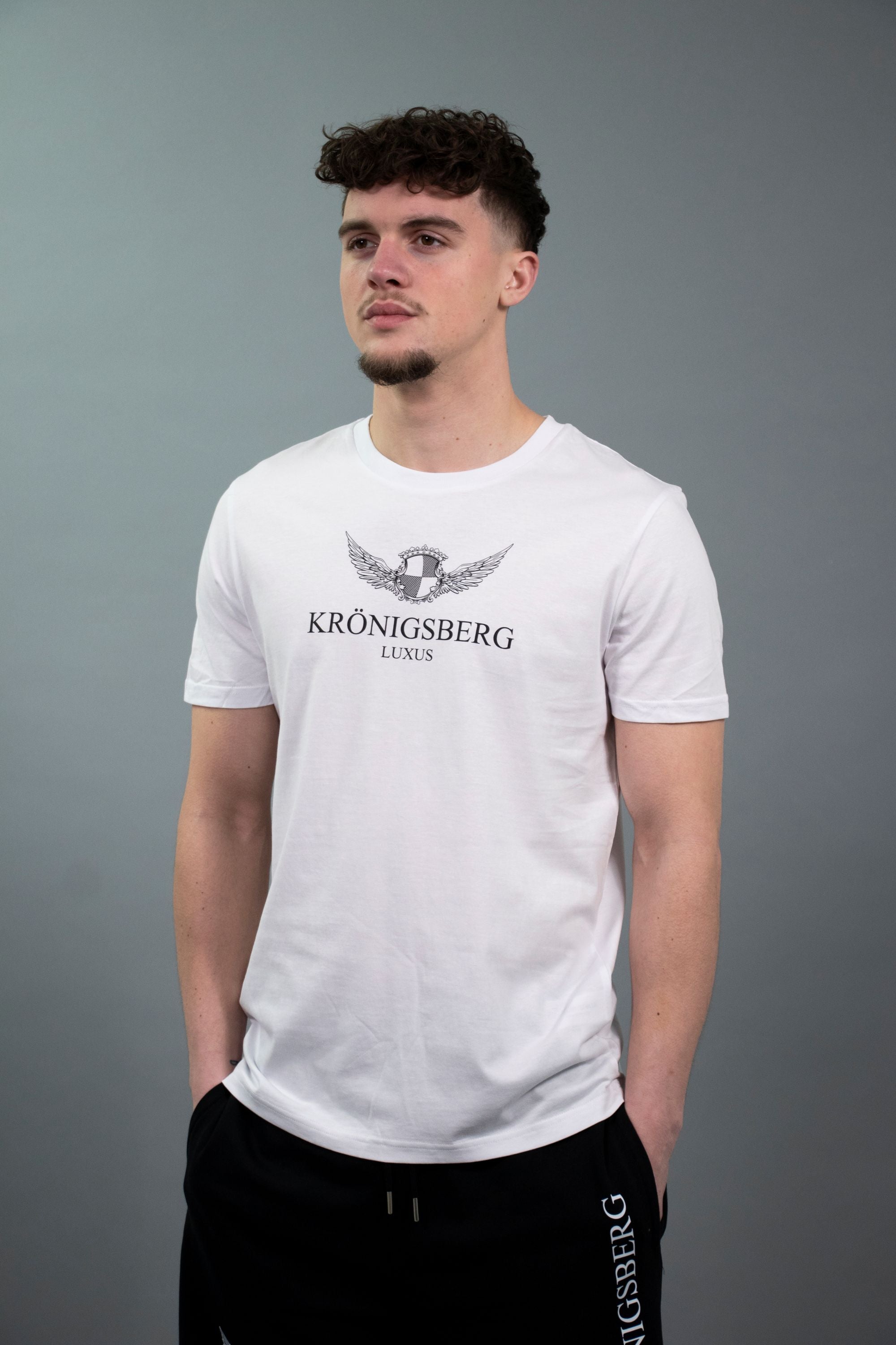 T-Shirt Flat Wit Design Chest Wings