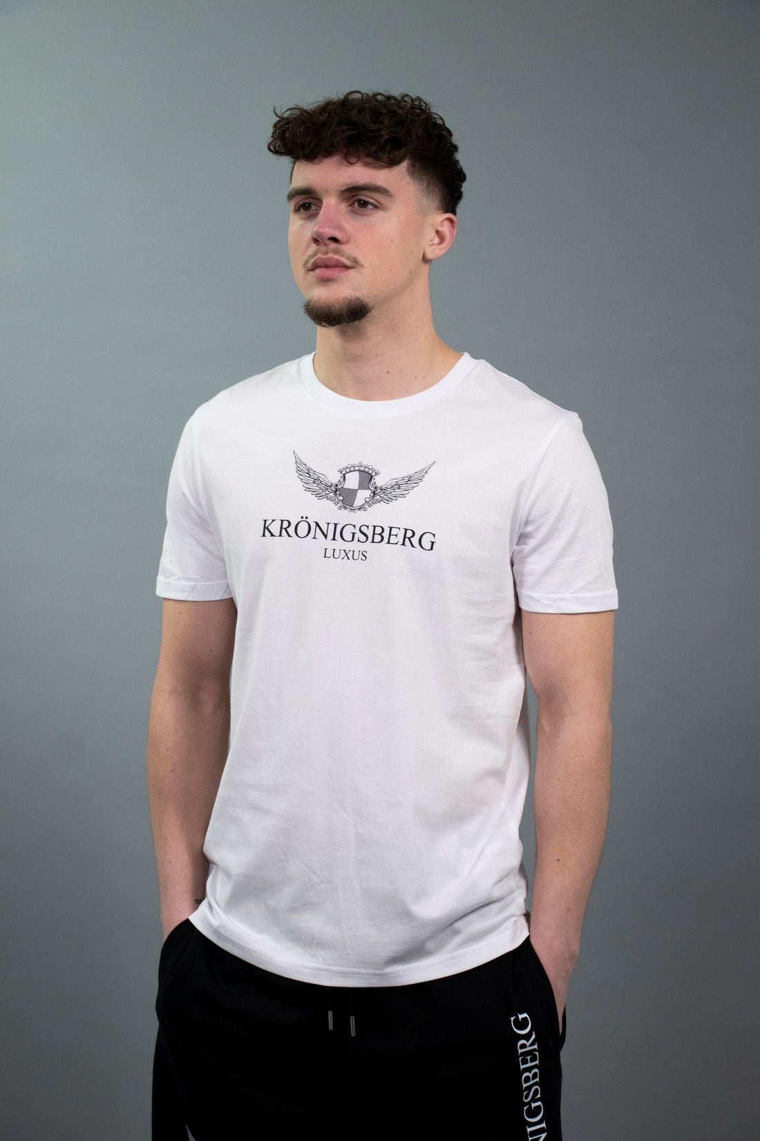 T-Shirt Flat Wit Design Chest Wings